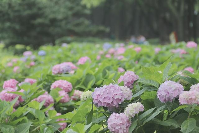 南京周边旅游景点推荐，南京周边自驾游（34个好玩又免费的宝藏公园）