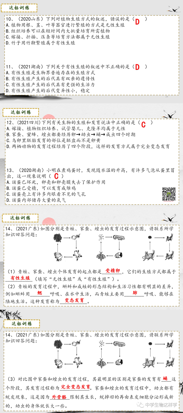 什么是无性生殖，什么叫做无性生殖（中考生物一轮复习）
