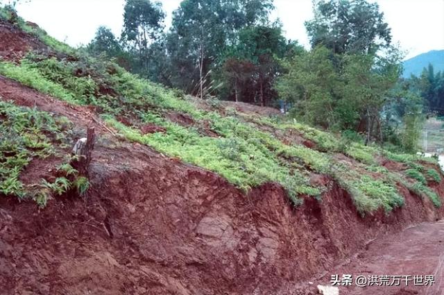 紫色分为哪几种紫，紫色有哪几种（土壤颜色分类5种）