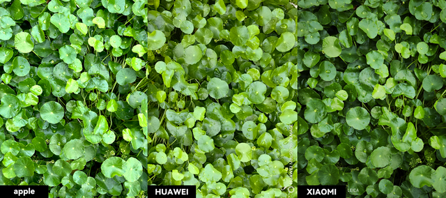 哪两种颜色可以调成紫色，哪两种颜色可以调成紫色彩搭配（但仍是一台值得购买的旗舰手机）