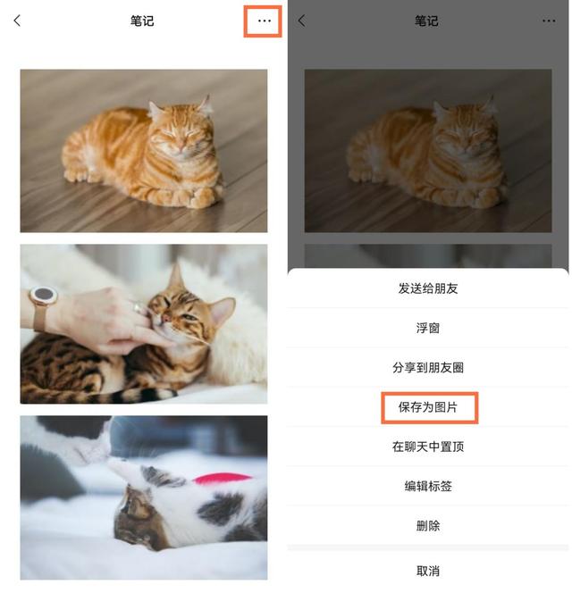 微信朋友圈怎么只发文字不发图片，微信朋友圈怎么只发文字不发图（微信收藏这6个神奇的用法）