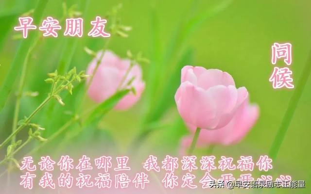 抖音语录经典语录，抖音上的说说经典语录（正能量早安发朋友圈的句子）