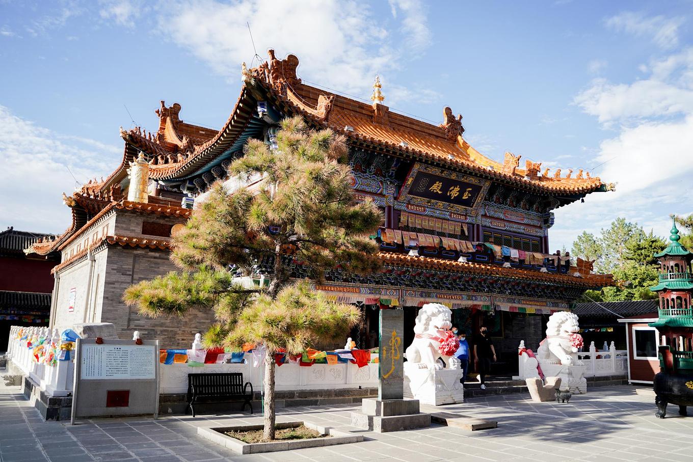 大召寺:从这里,新开始