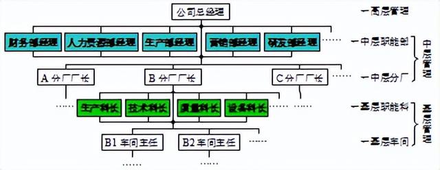 专业特长一般填什么，专业特长填什么内容（管理学知识点）