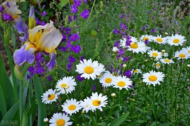 温暖思念牵挂祝福短信，温暖思念牵挂祝福短信怎么发（写给今生最想念的人）