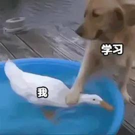 一起去看海⁸陪她去看海网名，一起去看海⁸陪她去看海微信昵称（背景图‖借着夏天来临的名字）