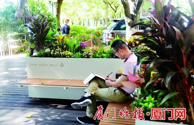 颜值再提升！筼筜路西段“咖啡一条街”改造完成