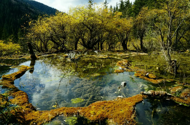 成都周边自驾看雪山，成都周边避暑胜地