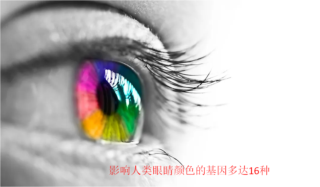 什么颜色对眼睛好，哪些颜色对眼睛好（各种眼睛颜色的人口比例是多少）
