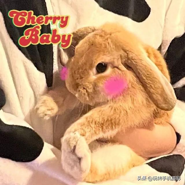 好看一点的头像，超好看的头像哦（好看不撞款的微信头像）