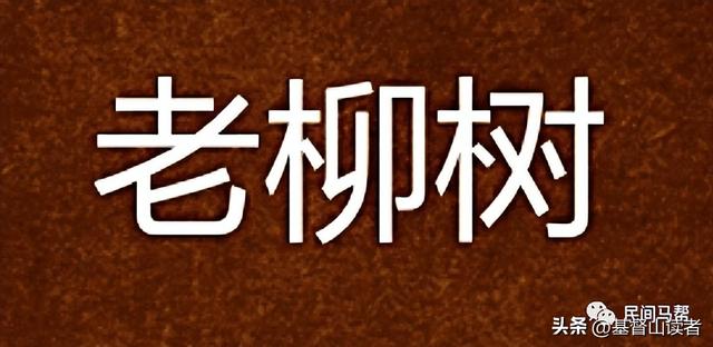家乡情怀经典句子，家乡的感慨情怀句子（家乡柳情怀）