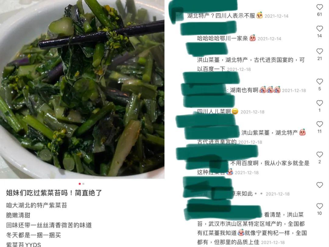 上海青菜的营养与功效，上海青的功效与作用及营养价值（当一个南方人在北方说）