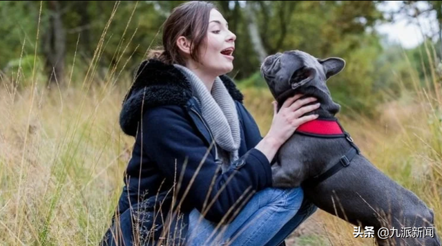 什么是理解？如何提高理解能力，理解能力和表达能力差怎么办（新研究：狗具有语言理解能力）