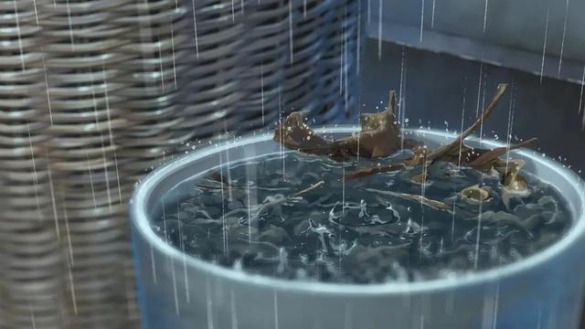 新海诚的所有动画电影，新海诚动画作品展示（《你的名字》出局）