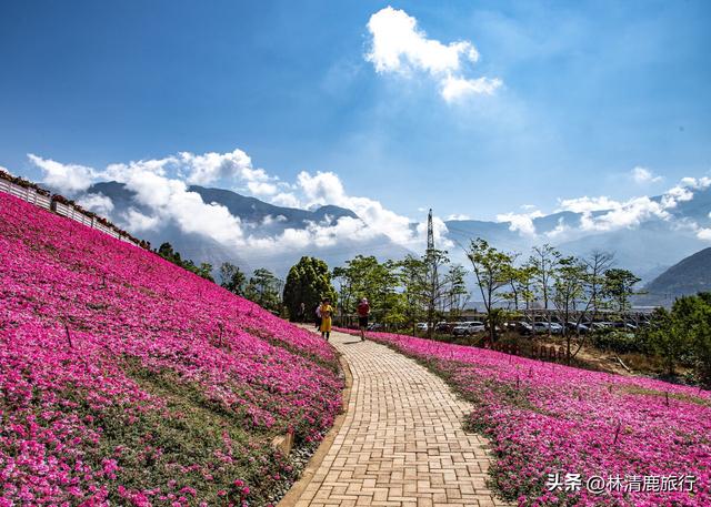 什么地方没有冬天（冬天比昆明还暖和）