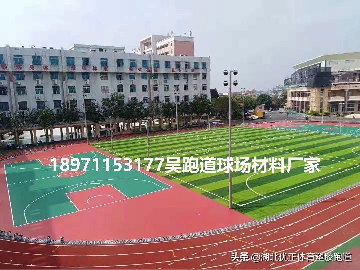 学校跑道图片（塑胶跑道的种类及优势）
