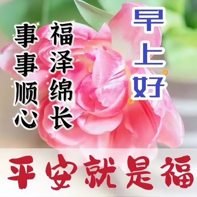 早上好的表情包，早上好表情图大全带字（最新的漂亮早上好问候表情图片）