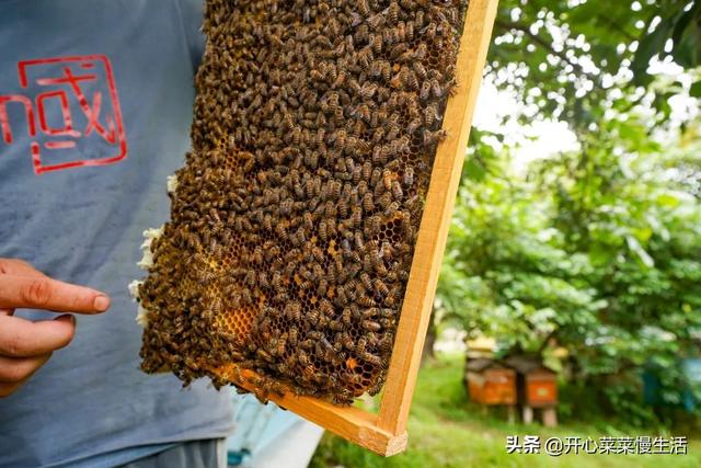 土特产店名，土特产店名一般叫什么（偶遇广东揭西县两位牛人）