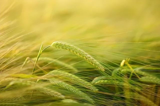 关于鹭港的名言，鹭港的名人名言（《孟子》中关于修行自身的12则名言）