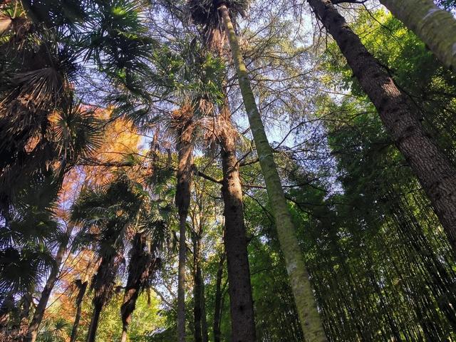 昆明动物园门票，昆明动物园都在哪里（核酸要求开放时间和票价都给你准备好了）