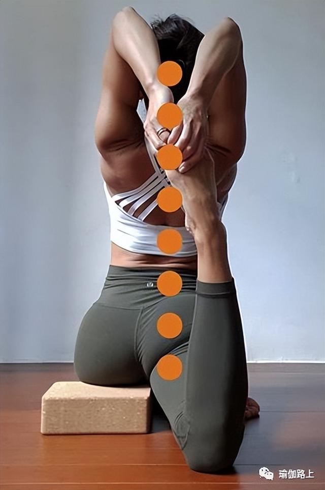 瑜伽最常见体式有多少种，个常见的基础瑜伽体式