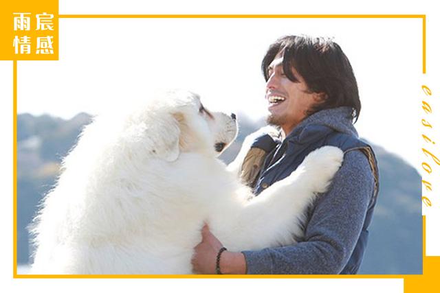 越是成功的男人越喜欢强势的，男人越来越强势（怎样让喜欢的人爱上你）