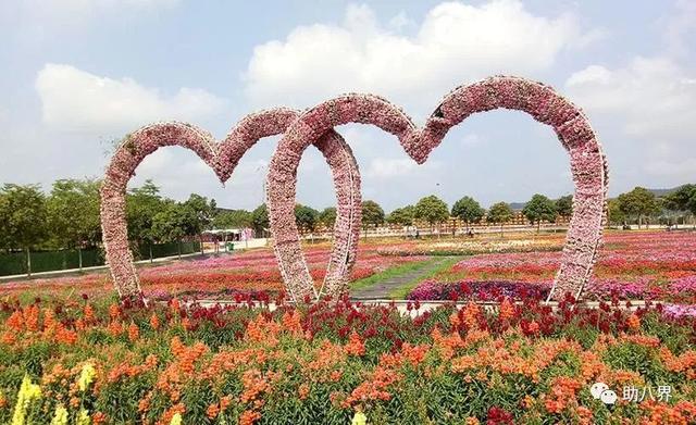 广东省内旅游攻略，广东10大最美自驾线路
