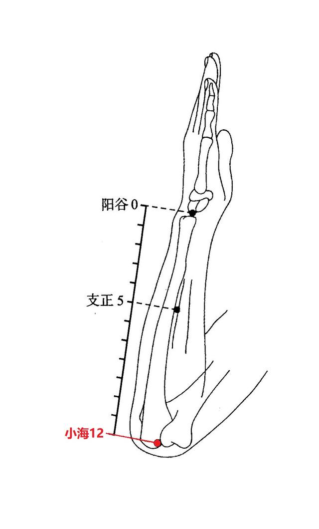 小海穴位及作用，小海穴的妙用