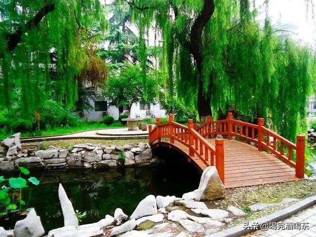 山东大学数学学院，山东大学数学系有哪些专业（山东大学有哪些王牌专业）