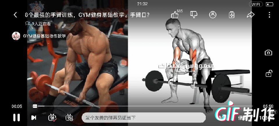 快速练好肱二头肌锻炼方法，快速练肱二头肌的方法（肱二头肌怎么练）