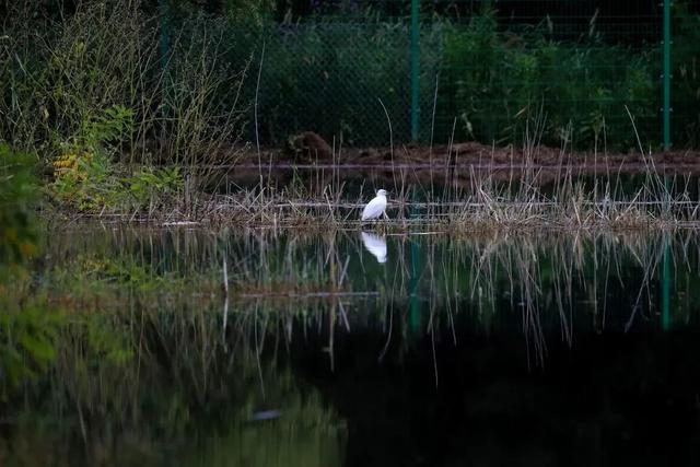 关于长城的旅游介绍，国庆去哪玩 ， 长城文化之旅