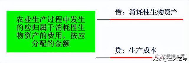 消耗性生物资产，消耗性生物资产是什么（生物资产案例分析及关键考点）