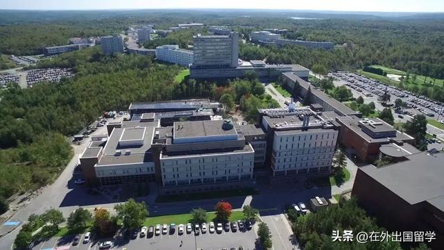 生物科学考研可以选的学校，生物科学专业考研学校排名（加拿大硕士留学申请丨这些要求相对较低的学校和专业了解下）