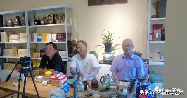 黑骨茶盆景怎么养护，黑骨茶盆景怎么养护视频（一棵黑骨茶盆景的改作引来老中青少四代树痴乐此不疲）