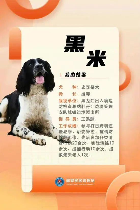 汪汪队立大功百科,汪汪队立大功人物介绍(国家首批功勋犬简历曝光) 汪汪队立大功百科,汪汪队立大功人物介绍(国家首批功勋犬简历曝光)