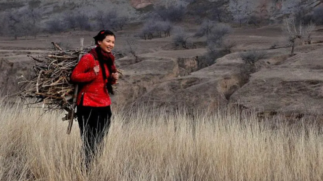 盘龙卧虎高山顶的演员，盘龙卧虎高山顶的演员是谁（把汤唯和蒋勤勤等女星放在一起）