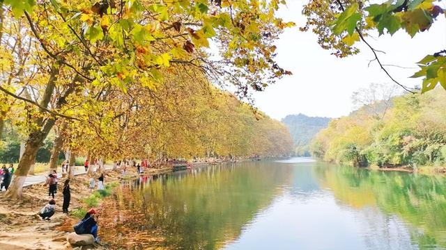 贵阳旅游景点大全必去处，贵阳周边的旅游景点大全（贵阳市区必去的5个景点）