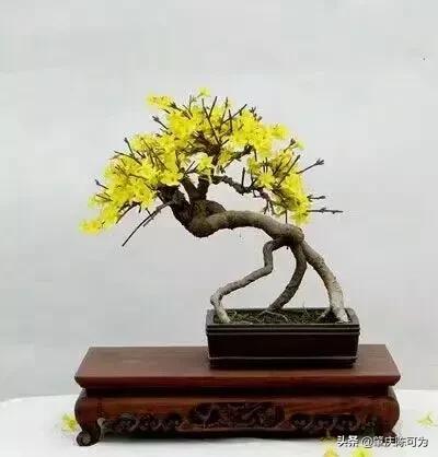 520快乐祝福语，520节日祝福语摘抄（520，到底是什么意思）