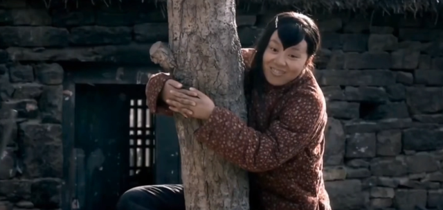 盘龙卧虎高山顶的演员，盘龙卧虎高山顶的演员是谁（把汤唯和蒋勤勤等女星放在一起）