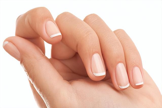 全球十大指甲刀排名，全球十大指甲刀排名成人（这款防飞溅指甲刀太赞）