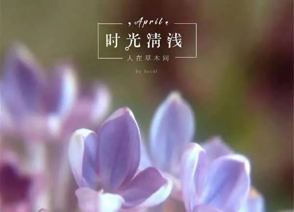 2,感叹时光岁月的唯美句子文案.感念时光,岁月清浅