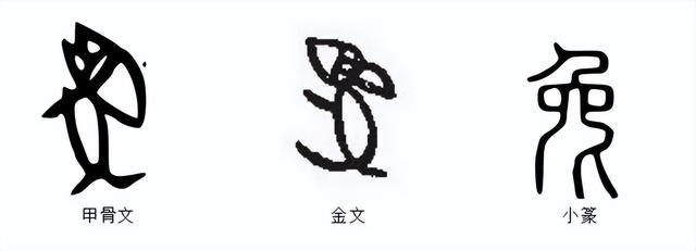兔子的含义，兔子的含义中国（说文解字：十二生肖之—“兔”）