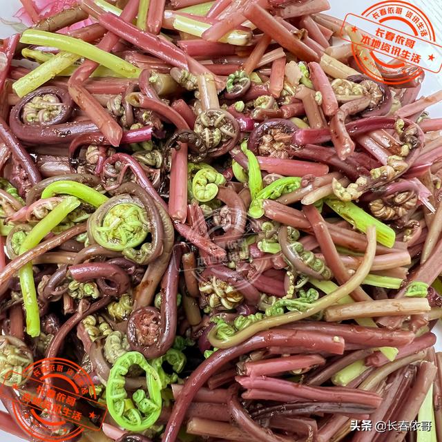 东北野生野菜有哪些，长白山中山野菜——猴子腿