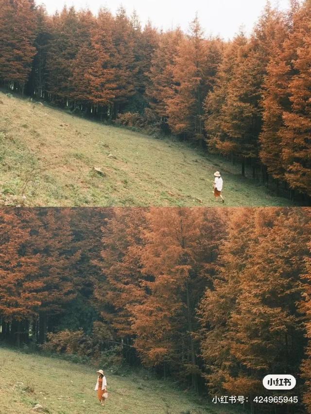 最值得去的10个小众旅行地，10个“治愈系”小众出游地