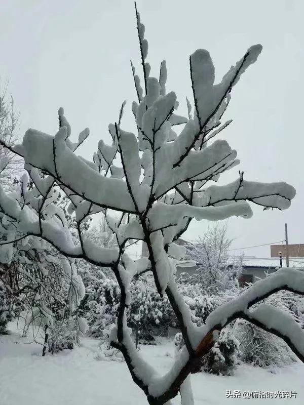 太阳像什么的比喻句，小学二年级比喻句大全（太阳像个大火球）