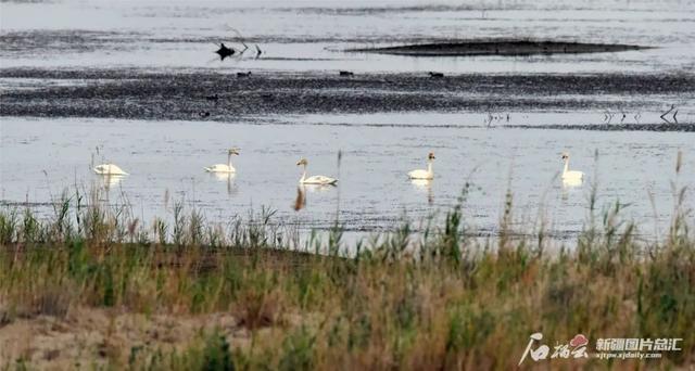 我国最长的河流是什么，世界最长河流排名前十（塔里木河到底有多重要）