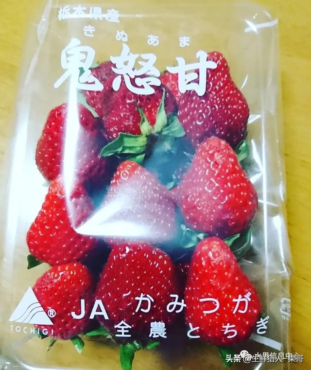 九九草莓特点，九九草莓有几个品种（中国草莓主要产地分布及品种介绍）