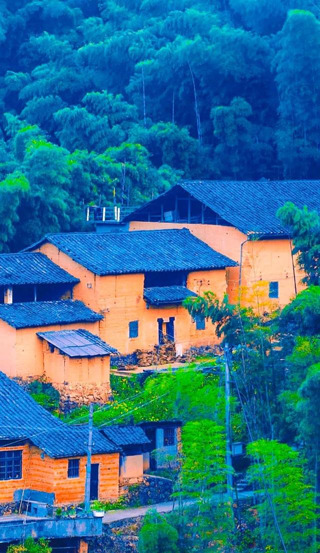 不如名师指路前面一句是什么，不如名师指路前面一句是什么成语（就是看透而不说透）