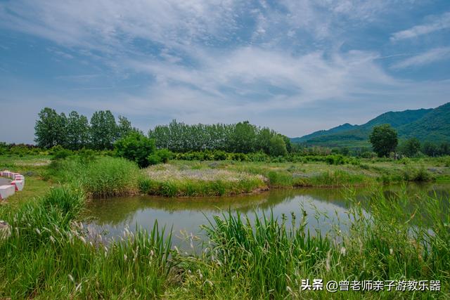 秦岭经典十大景点，2023西安秦岭20个景区推荐