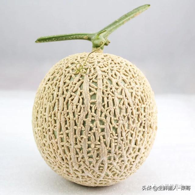 绿色的哈密瓜叫什么，绿色的哈密瓜叫什么名字（哈密瓜、蜜瓜、网纹瓜、香瓜、羊角蜜傻傻分不清）